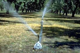 Kirkwood Irrigation Photo